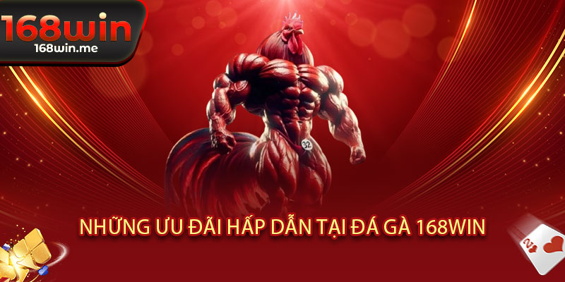 Đá Gà 168WIN - Đỉnh Cao Đấu Trường! Cược Siêu Nhanh, Thắng Siêu Đậm 3 Những ưu đãi hấp dẫn tại Đá Gà 168WIN